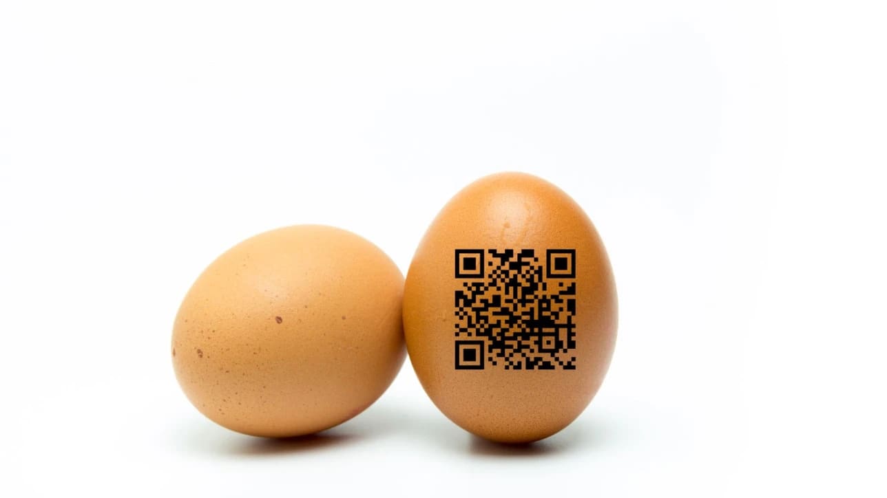 Product Traceability: Why Is It Essential for Quality, Trust and Sustainability?